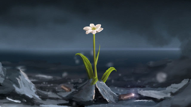 Flower rock snow darksky bloom free wallpaper - medium preview image