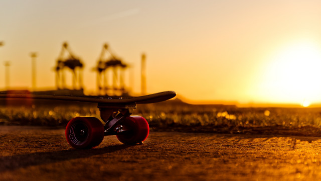Skateboard sunset palm trees blurred free wallpaper - medium preview image