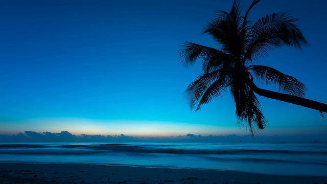 Palm beach sunset ocean sky free wallpaper - medium preview image