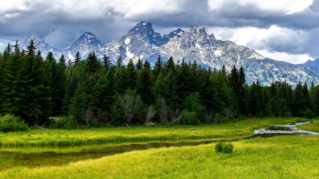 Mountain stream trees field lake free wallpaper - medium preview image