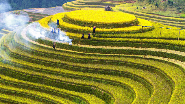 Green field hillside ecological art free wallpaper - medium preview image