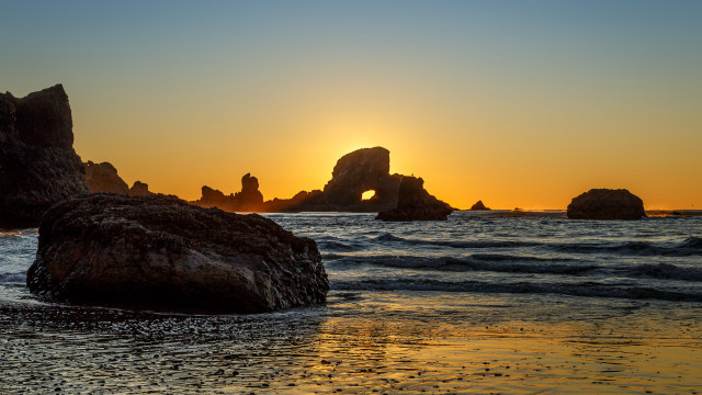 Sunset ocean rocks bird reflection free wallpaper - medium preview image