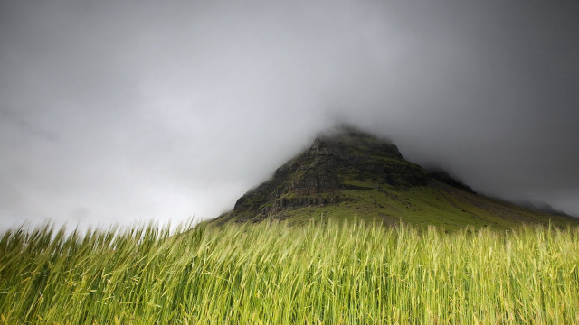 Tall green mountain grass field free wallpaper - medium preview image