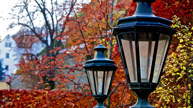Street lights autumn leaves architecture free wallpaper - medium preview image