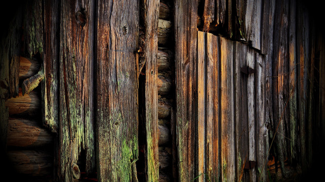 Wooden wall peeling paint moss free wallpaper - medium preview image