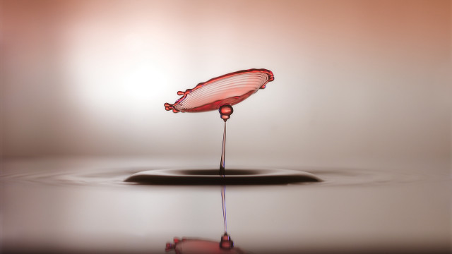Water drop pink flower macro free wallpaper - medium preview image