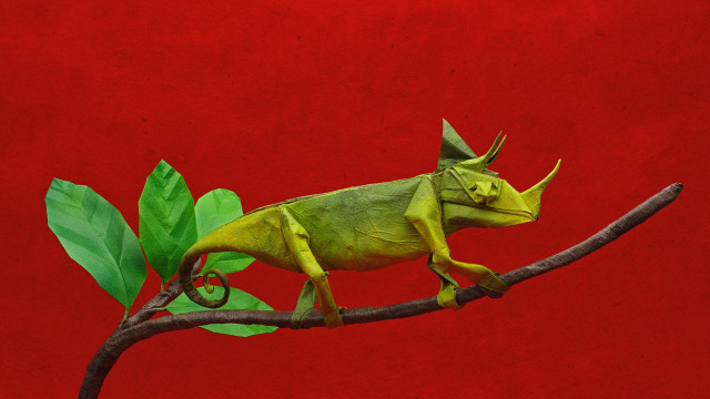 Green chameleon branch leaves red free wallpaper - medium preview image