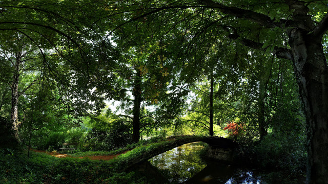Bridge forest path bush sunlight free wallpaper - medium preview image