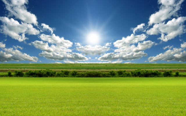 Sunny field mountains trees ocean free wallpaper - medium preview image