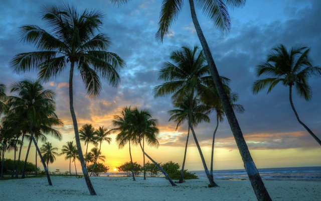 Beach sunset palm trees clouds free wallpaper - medium preview image