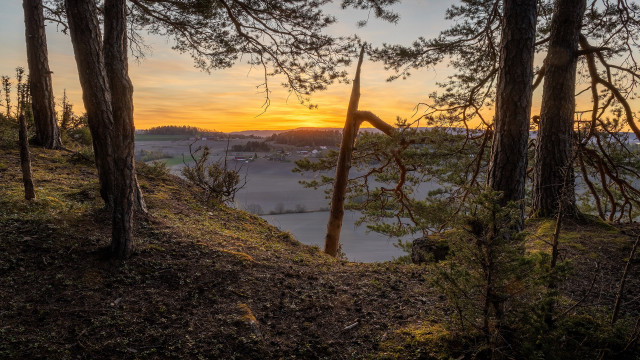 Sunset trees water hill landart free wallpaper - medium preview image