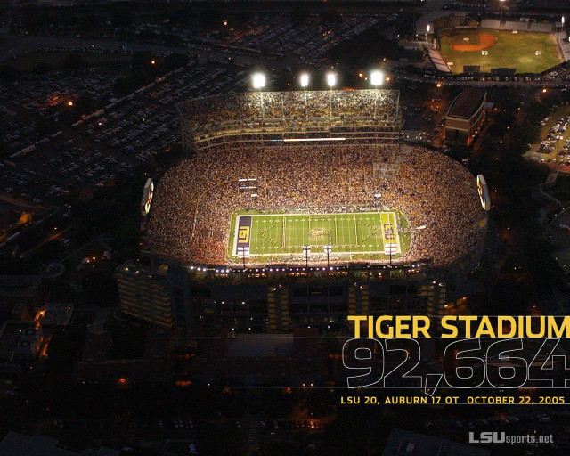 Stadium crowd night tiger sign free wallpaper - medium preview image