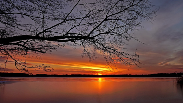 Tree lake sunset clouds fence free wallpaper - medium preview image