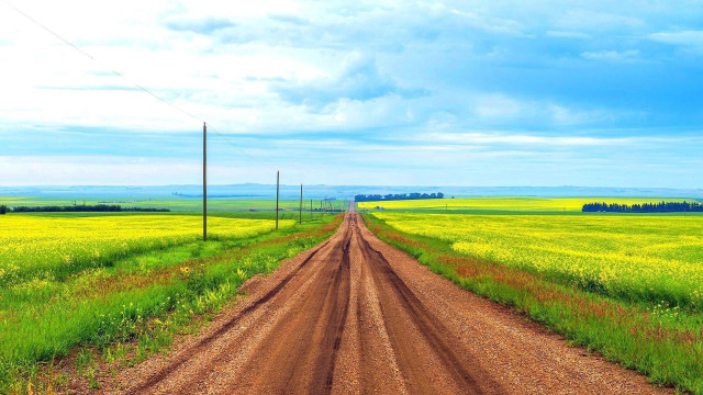 Dirt road field telephone pole free wallpaper - medium preview image