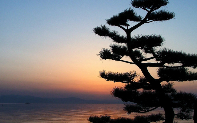 Pine tree sunset ocean boat #3 free wallpaper - medium preview image