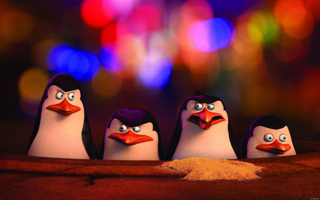 Penguins googly eyes bright background free wallpaper - medium preview image