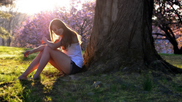 Woman sitting tree cellphone autumn free wallpaper - medium preview image