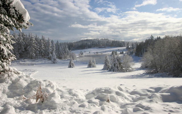 Snowy landscape trees hill clouds free wallpaper - medium preview image