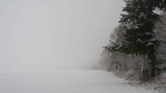 Snowy road fence forest girls free wallpaper - medium preview image