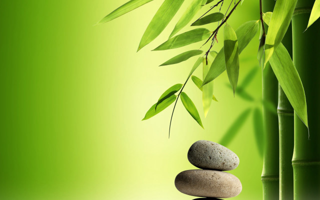 Bamboo rocks leaves green background free wallpaper - medium preview image