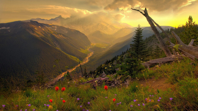 Valley mountains flowers sunset clouds free wallpaper - medium preview image