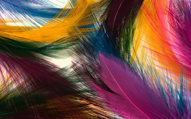 Colorful feathers abstract brushstrokes fireworks free wallpaper - medium preview image