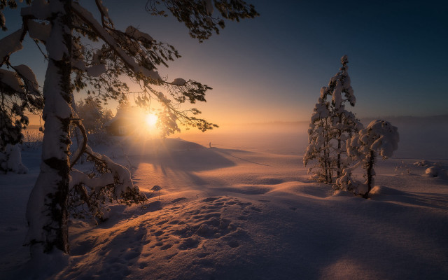 Snowy landscape trees sunset matte free wallpaper - medium preview image