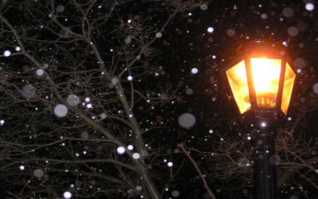 Street light snow night falling free wallpaper - medium preview image