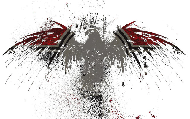Red black bird spread wings free wallpaper - medium preview image