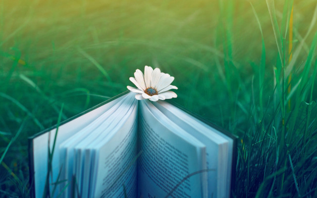 Book flower grass magical realism #2 free wallpaper - medium preview image