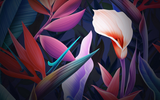 Flower leaves blue sky red free wallpaper - medium preview image