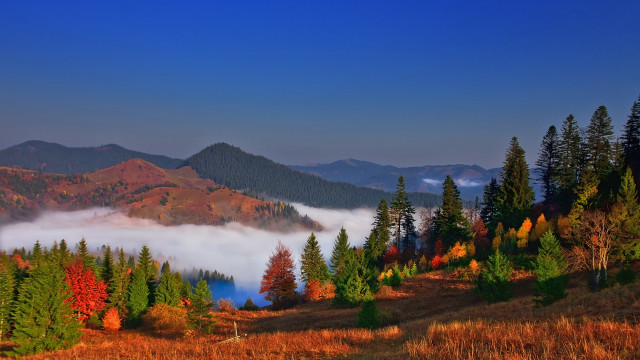 Mountain forest lake clouds autumn free wallpaper - medium preview image
