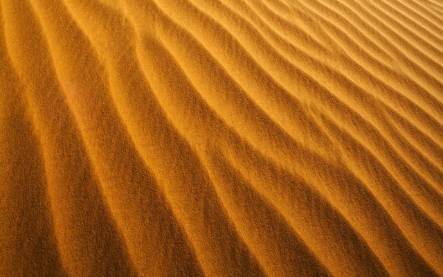 Desert sand dunes trees sunset free wallpaper for desktop - medium preview image