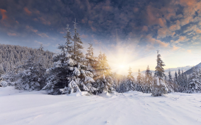 Snowy landscape trees sunset clouds #7 free wallpaper - medium preview image
