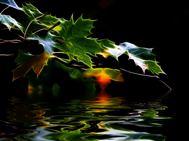 Leafy plant reflection water green free wallpaper - medium preview image