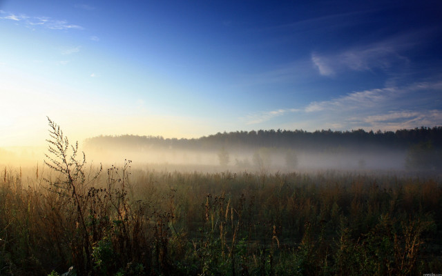 Foggy field sunrise trees mountains free wallpaper - medium preview image