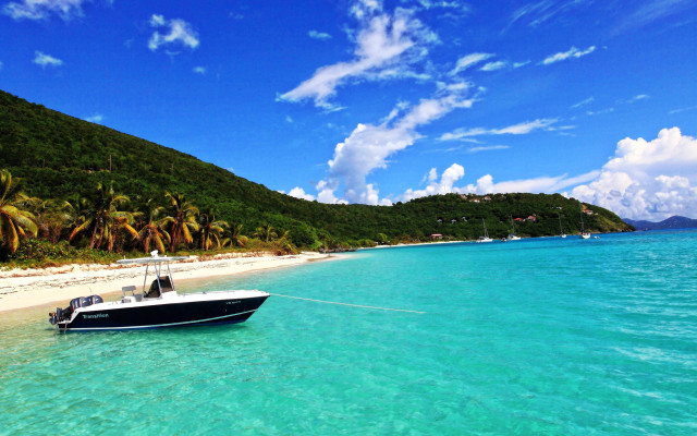 Boat anchored tropical beach palm free wallpaper - medium preview image