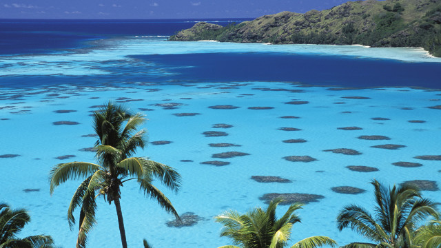Blue lagoon palm mountains sky free wallpaper - medium preview image
