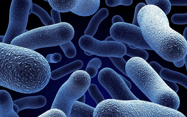 Cell phones neoplasticism biopunk microscopic free wallpaper - medium preview image