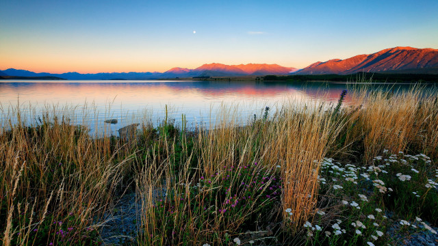 Lake mountains sunset flowers grass free wallpaper - medium preview image