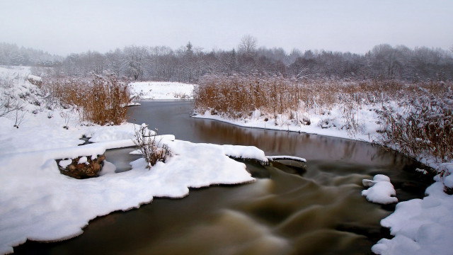 River snowy forest bushes impressionist free wallpaper - medium preview image