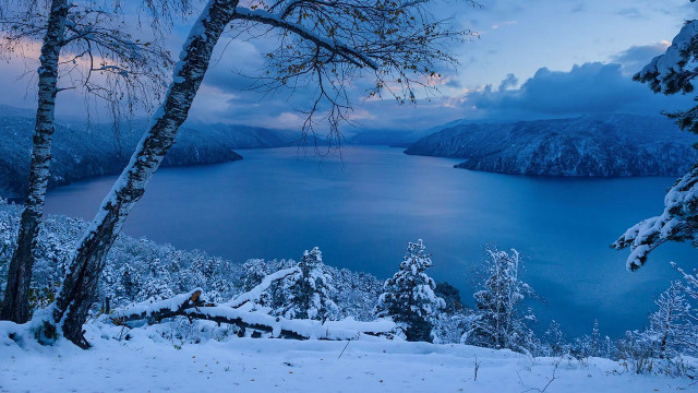 Lake snowy trees mountains dusk free wallpaper - medium preview image