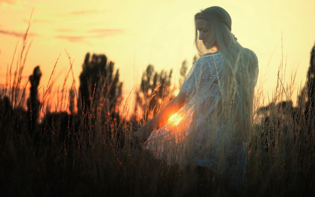 Woman field sunset hair glow free wallpaper - medium preview image