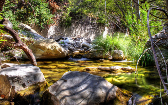 Lush forest stream waterfall nature #2 free wallpaper - medium preview image