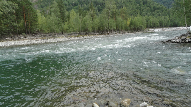 River rocks trees person nature free wallpaper - medium preview image
