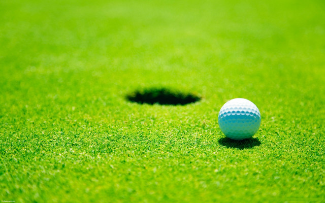 Golf ball in hole grass free wallpaper - medium preview image