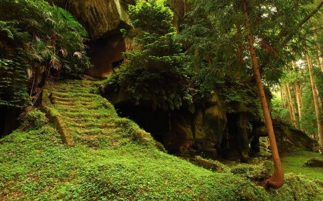 Lush green forest staircase cave #4 free wallpaper - medium preview image