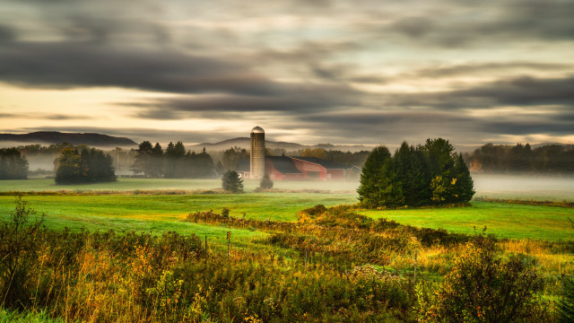 Barn foggy field trees grass free wallpaper - medium preview image