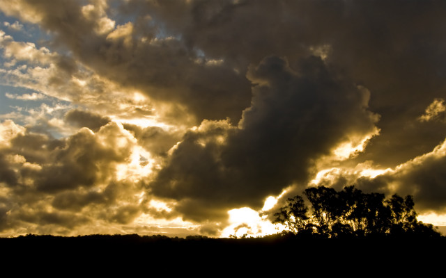 Cloudy sky trees dusk ocean #2 free wallpaper - medium preview image