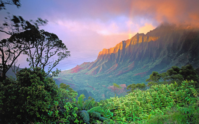 Mountain forest sunset clouds trees #2 free wallpaper - medium preview image